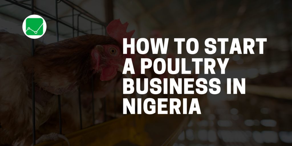 how to start a poultry business in nigeria