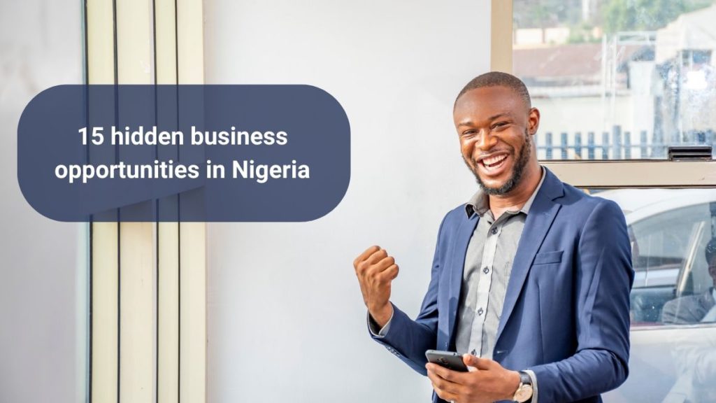 Hidden business opportunities in Nigeria